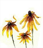 Daisies Garden
