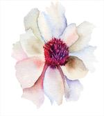 Flower Blossom Art
