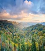 Autumn Outdoor Scene
