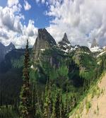 Panoramic Spring Landscape