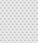 Hexagonal Stripes