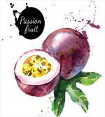 Watercolor Exotic Design