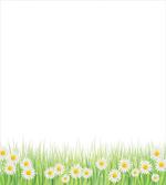 Daisies in the Grass