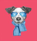 Hipster Dog Glasses