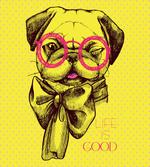 Intellectual Dog Glasses