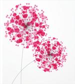 Abstract Dandelion Artwork