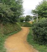 Elf Path in Woods