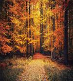 Vivid Leaf Plant Eco artwork