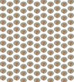 Bengal Tiger Pattern