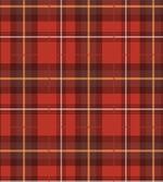 European Cultural Pattern