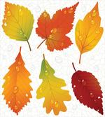Realistic Dried Leaves Falling