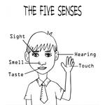 5 Senses on Boy