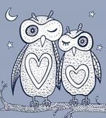 Night Bird Couple Doodle