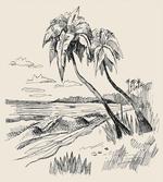 Tropical Beach Sketch
