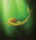 Mermaid with Fish Tail