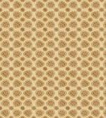 Interlacing Circles Petal