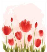Romantic Tulip Blossoms