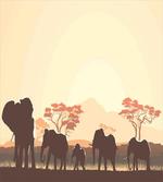 Safari Animal Elephant