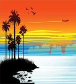Sunset Sky with Seagulls