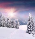 Idyllic Outdoors Sunset