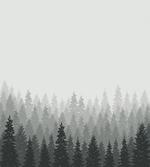 Wilderness Theme Foliage
