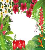 Plumeria Crepe Gingers artwork
