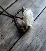 Romantic Flower Rustic Table