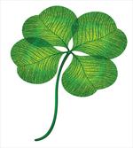 Detailed 4 Leaf Shamrock