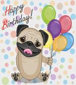Birthday Pug Dog
