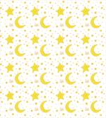 Sleeping Moon