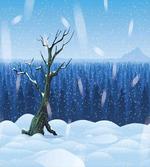 Cold Snowy Landscape