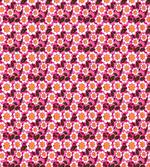 Flourishing Daisies