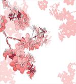 Flower in Blossom