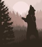 Wild Bear Night Jungle