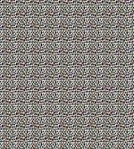 Modernized Cat Skin