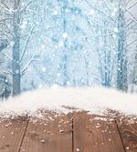 Blizzard Scene Outdoors