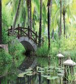 Park in South China