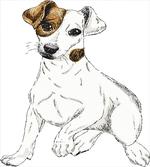 Graphic Puppy Portrait