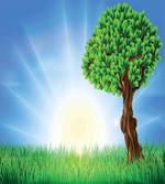 Foliage Leaves Lonely Tree