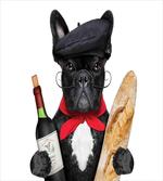 French Dog Red Wine