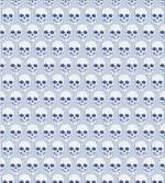 Blue Skulls Optical