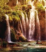 Waterfall Forest Trees