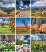 Springtime Countryside