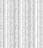 Birch Tree Woods