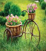 Vintage Ivy Frame