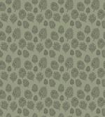Plants Woodland Design