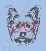 Fun Portrait Red Glasses