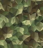 Geometric Fractal Camo