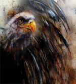 Angry Bird Black Feathers