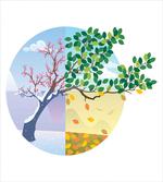 Cartoon Cycle of the Seasons